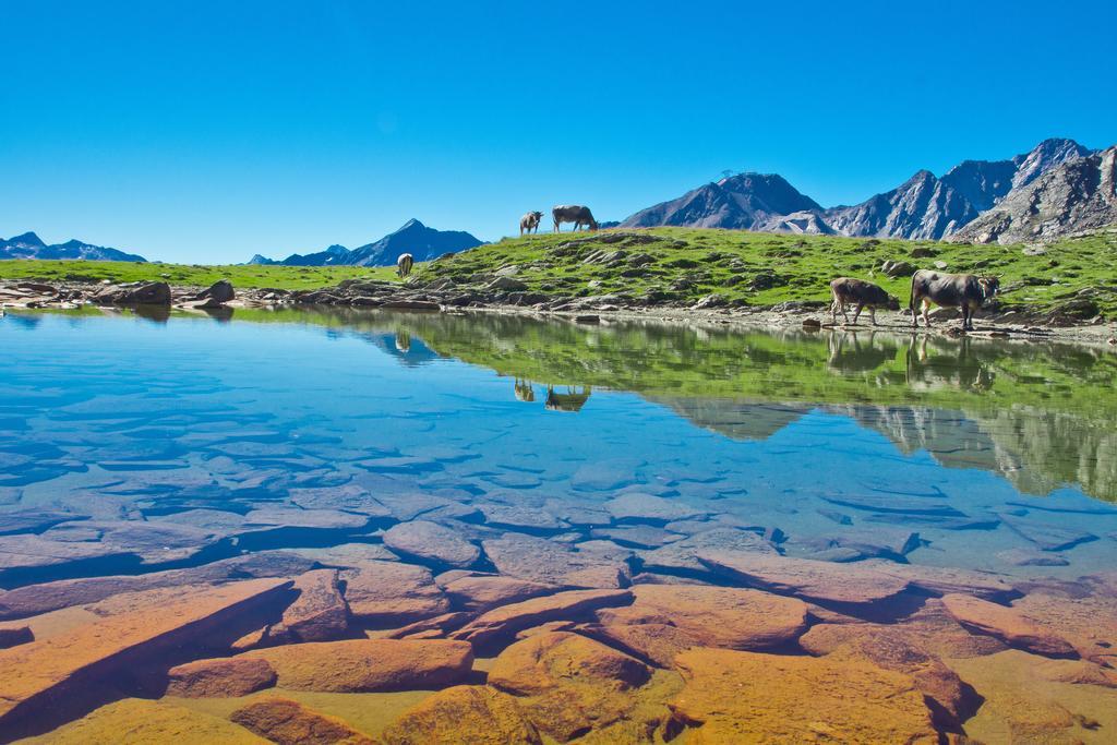 Apart Auszeit Sölden Eksteriør billede