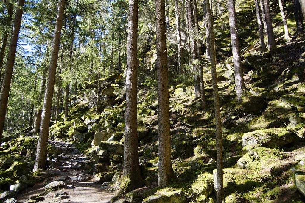 Apart Auszeit Sölden Eksteriør billede